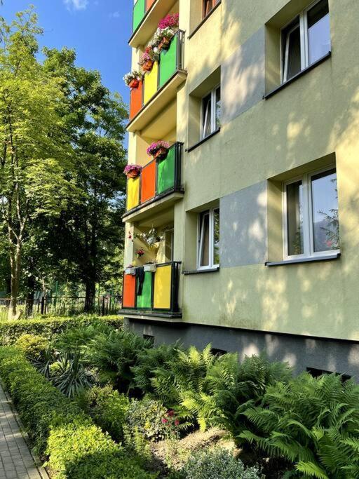 Sunny Apartment In Silesia Czeladź Zewnętrze zdjęcie