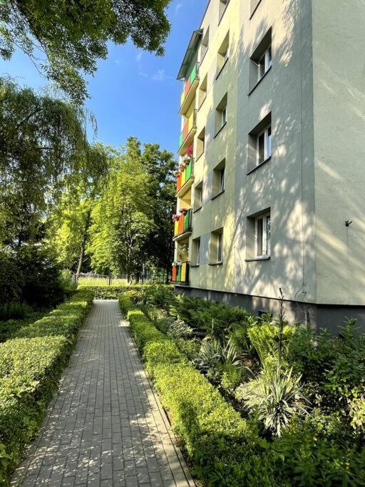 Sunny Apartment In Silesia Czeladź Zewnętrze zdjęcie